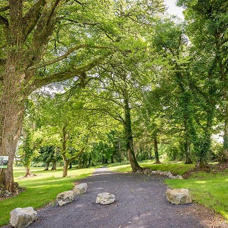 Breaffy Woods Hotel Castlebar Exterior foto